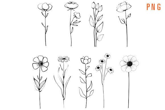Download Minimal Flowers - Minimal flowers Collection